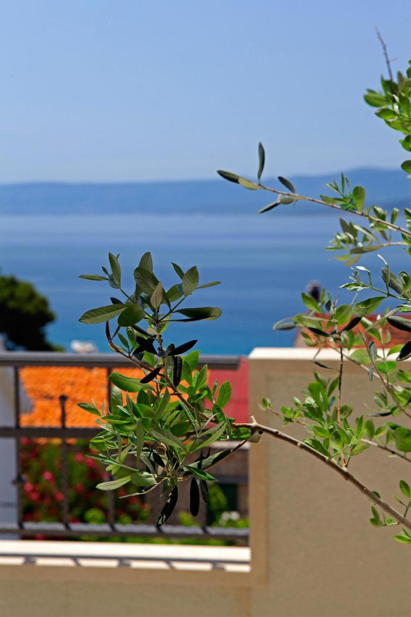 Apartment Penthouse Vanja